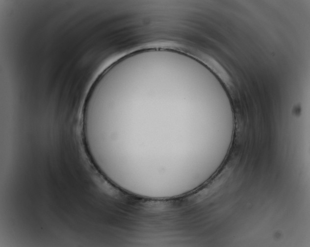 X0000103941044200809261721