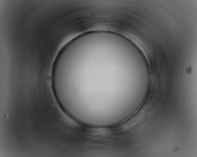X0000103941045200809261721