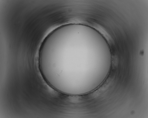 X0000103941046200809261721