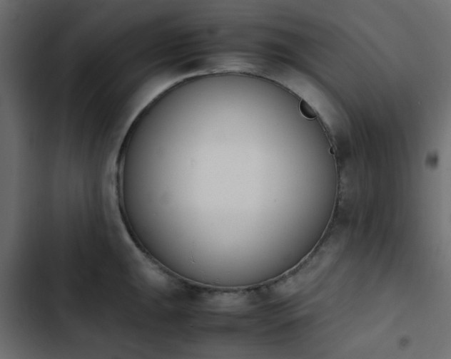 X0000103941047200809261721