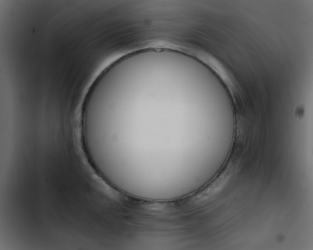 X0000103941048200809261721