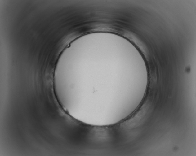 X0000103941049200809261721
