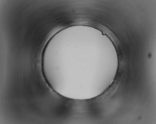 X0000103941050200809261721