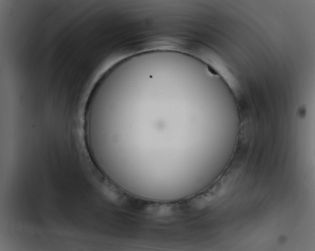 X0000103941051200809261721