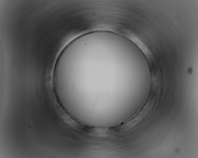 X0000103941052200809261721