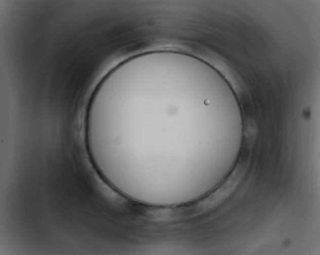 X0000103941054200809261721