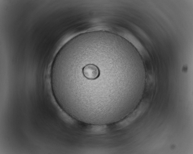 X0000103941055200809261721