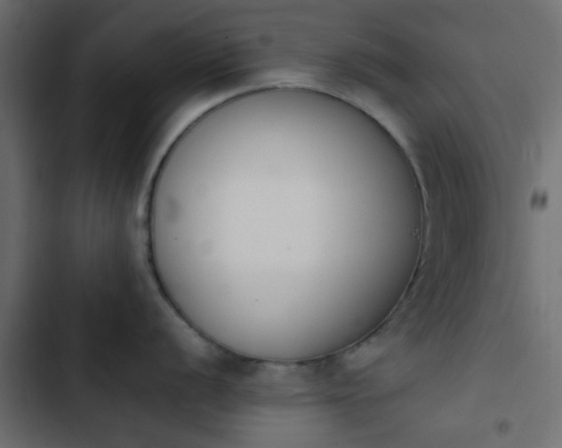 X0000103941056200809261721