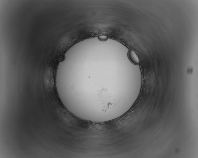 X0000103941058200809261721