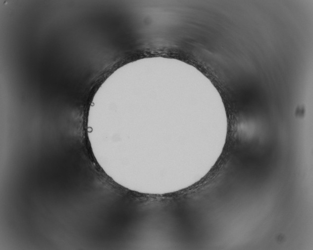 X0000103941060200809261720