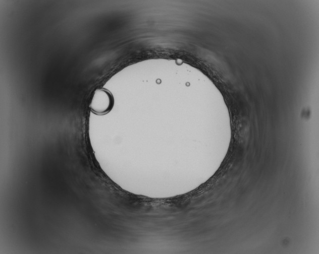 X0000103941061200809261720