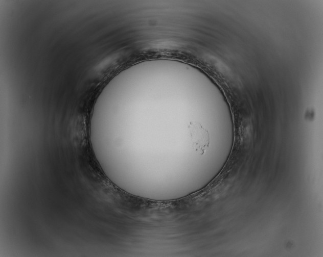 X0000103941062200809261720