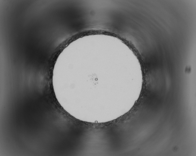 X0000103941064200809261720