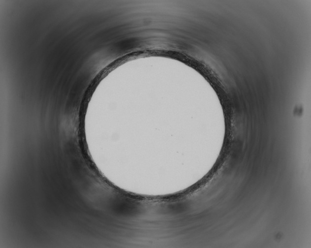 X0000103941065200809261720