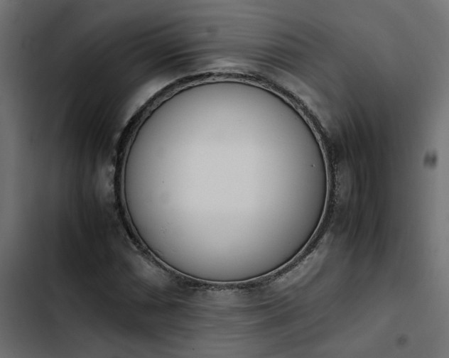 X0000103941066200809261720