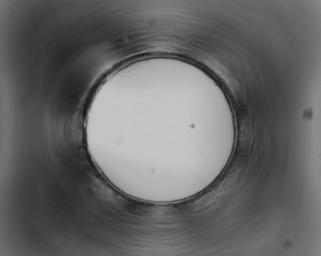 X0000103941067200809261720