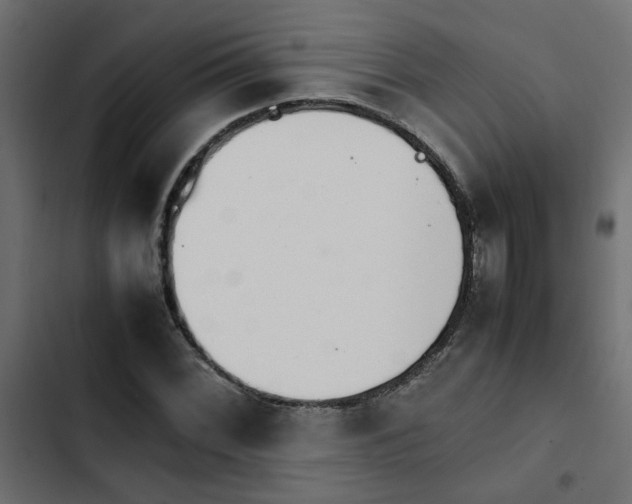 X0000103941068200809261720