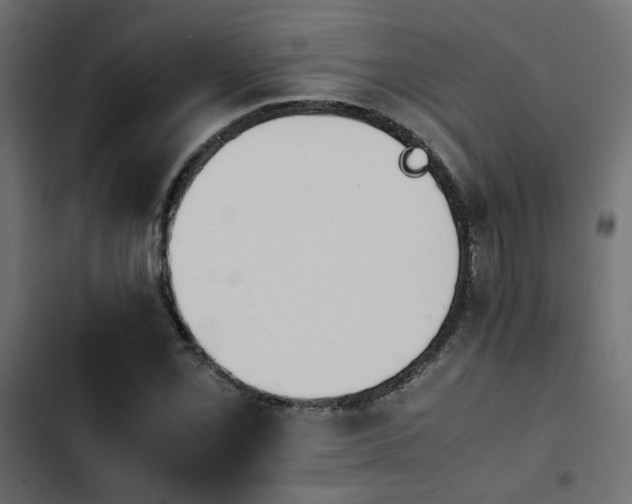 X0000103941069200809261720