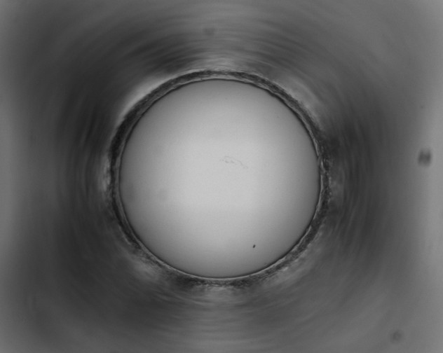 X0000103941070200809261720