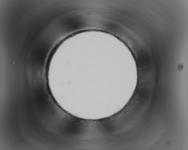 X0000103941072200809261720