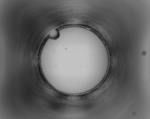 X0000103941073200809261720