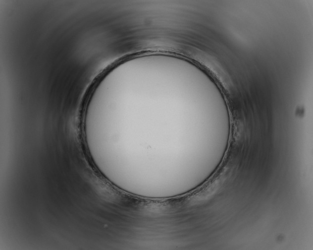 X0000103941074200809261720