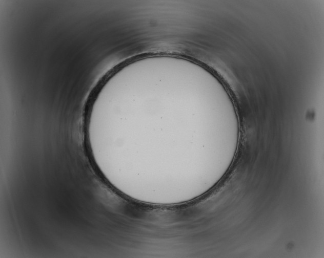 X0000103941075200809261720
