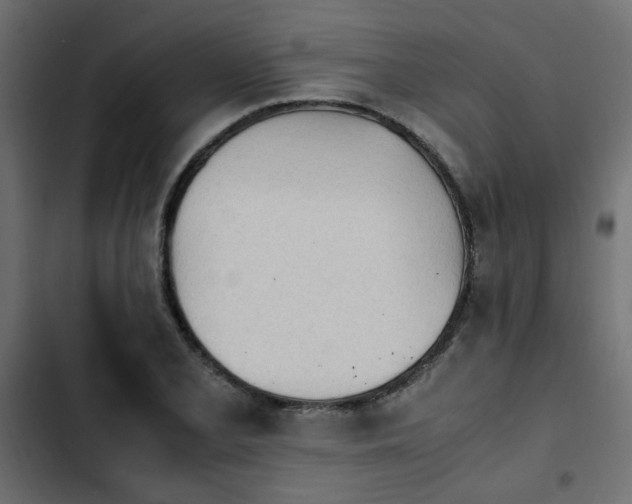 X0000103941077200809261720