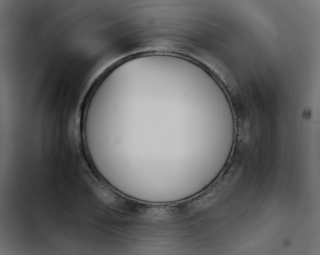 X0000103941078200809261720