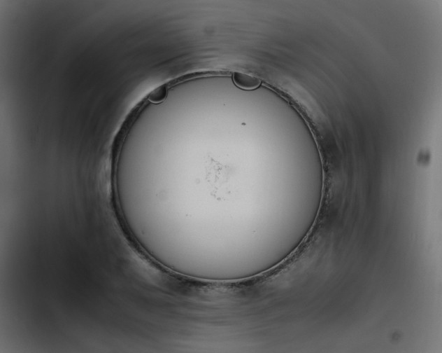 X0000103941079200809261720