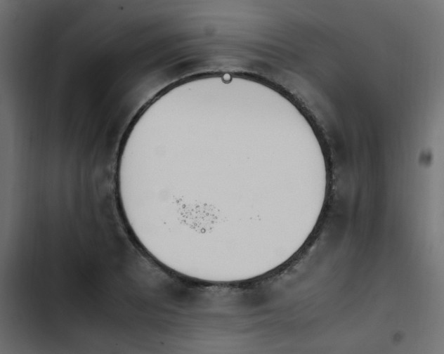 X0000103941081200809261720