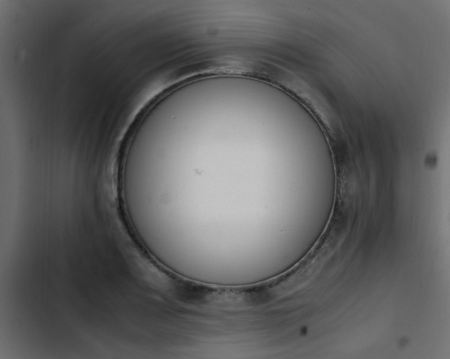 X0000103941083200809261720