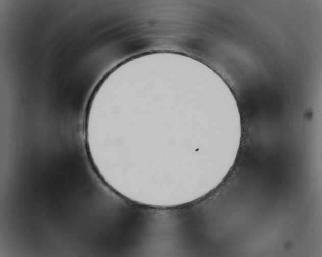 X0000103941084200809261720