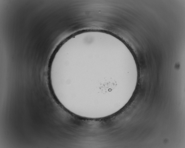 X0000103941085200809261720