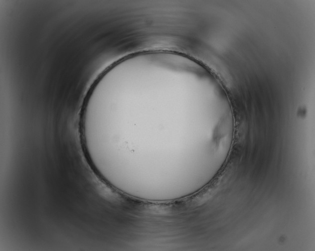 X0000103941086200809261720
