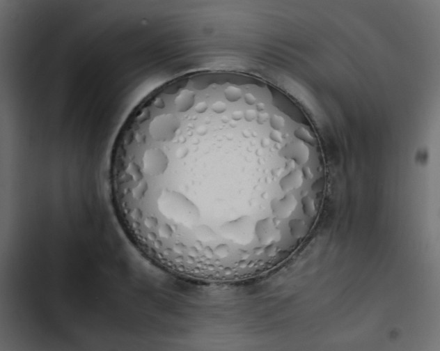 X0000103941087200809261720