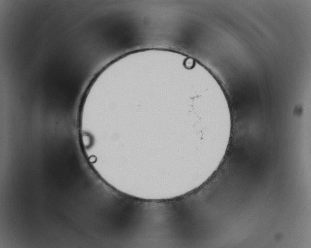 X0000103941088200809261720