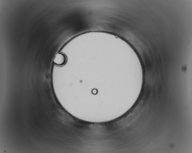 X0000103941089200809261720