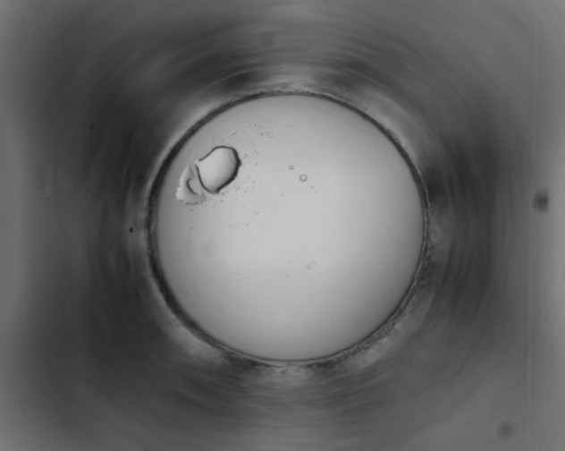 X0000103941090200809261720