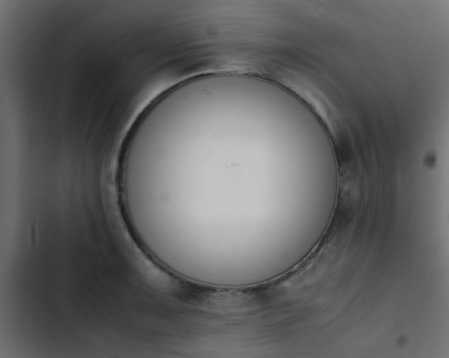 X0000103941091200809261720
