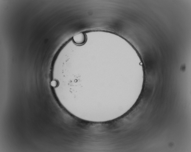 X0000103941093200809261720