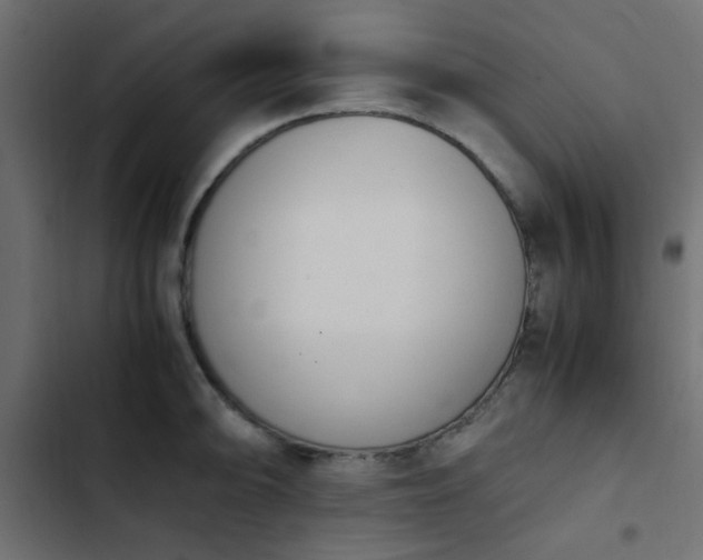 X0000103941094200809261720
