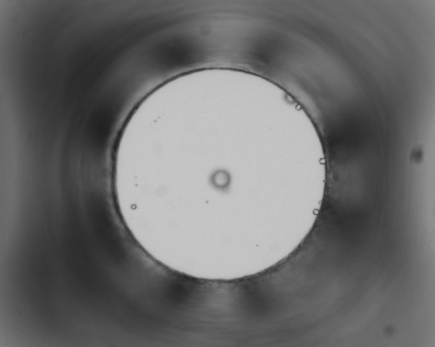X0000103941096200809261720