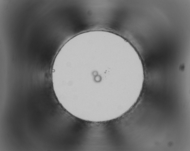X0000103941097200809261720