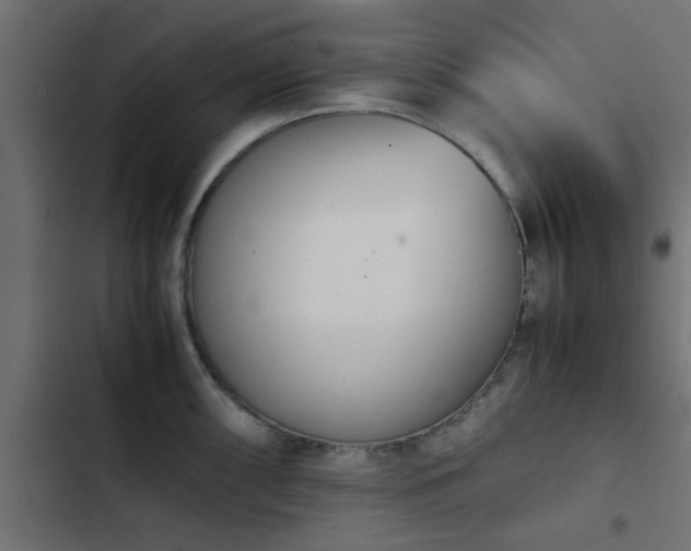 X0000103941098200809261720
