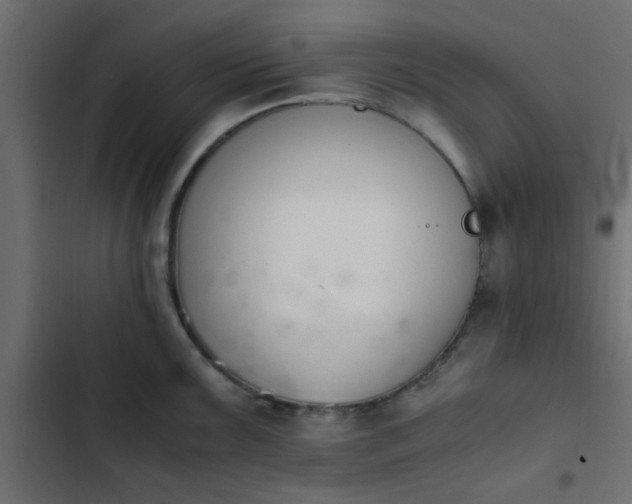 X0000103941099200809261720