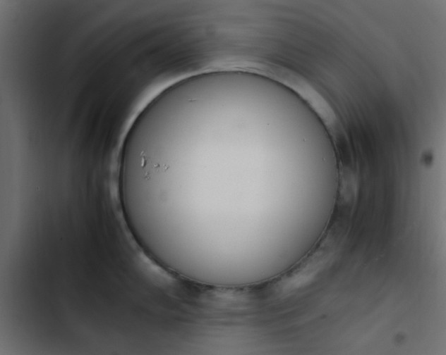 X0000103941102200809261720