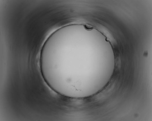 X0000103941103200809261720