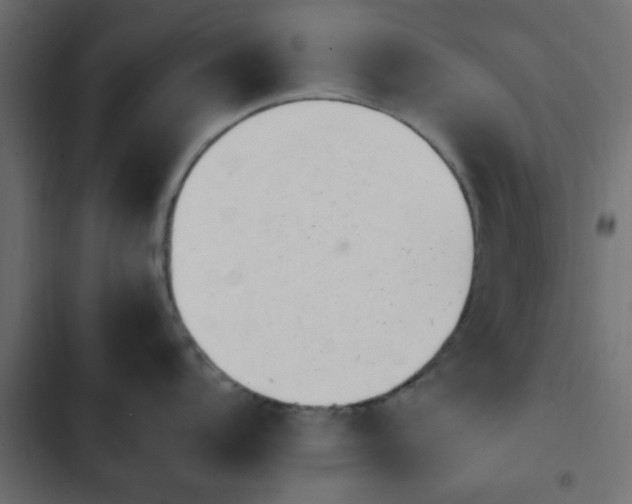 X0000103941104200809261720