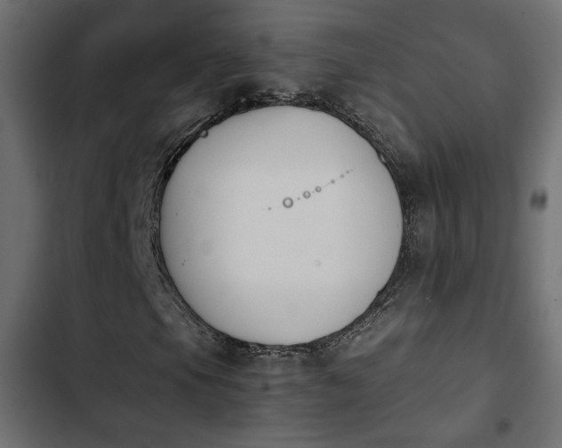 X0000103941105200809261719